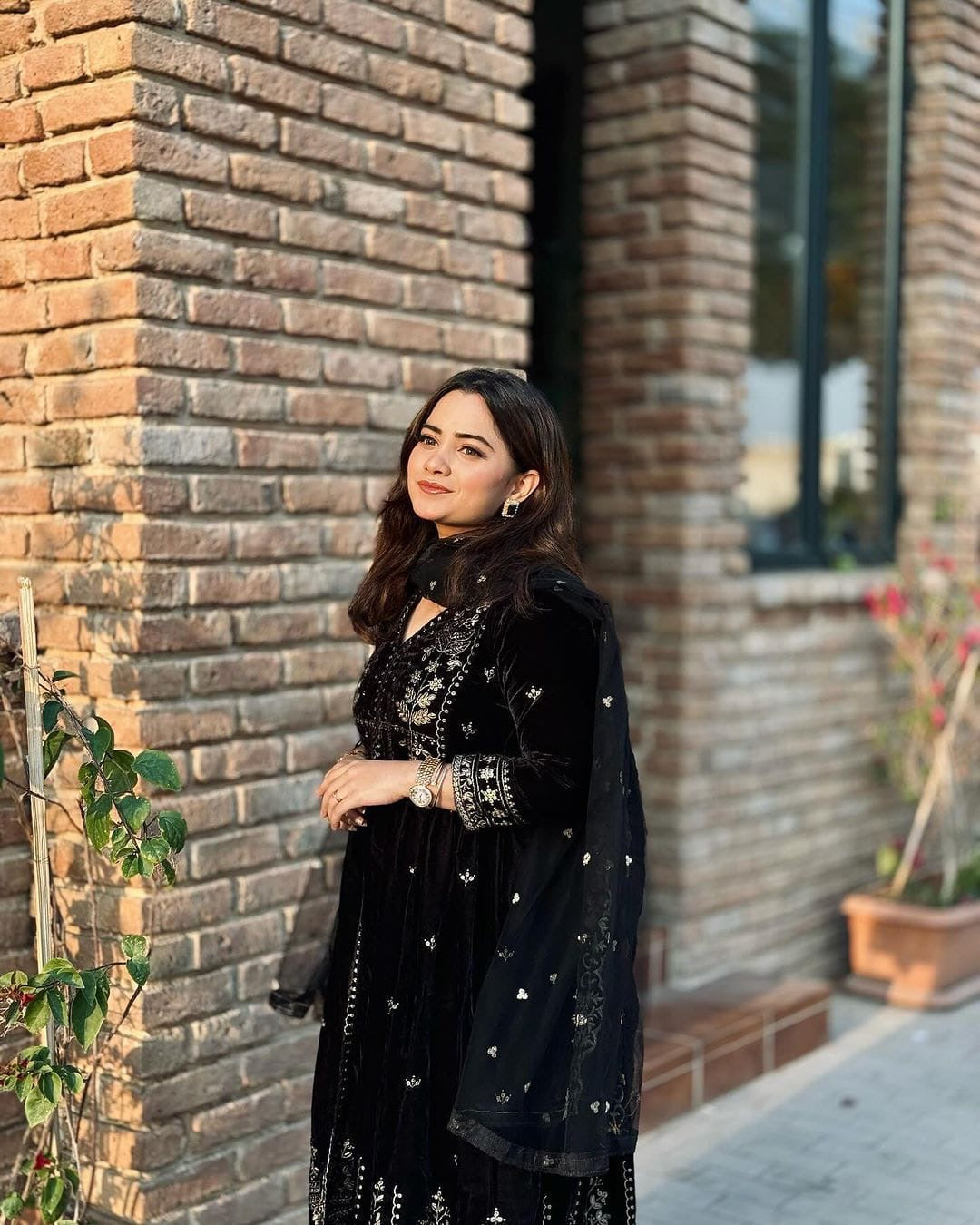 Velvet embroidery gown