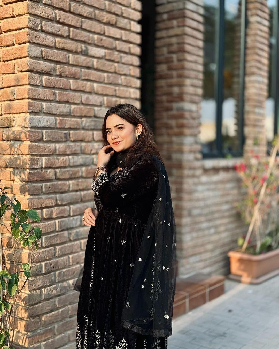 Velvet embroidery gown